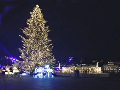 Lucerne at Christmas