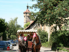 Rothenburg horse carriage