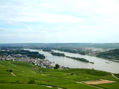 Rhine valley at Rudesheim