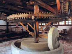 Oil Mill, Black Forest Open Air Museum, Germany