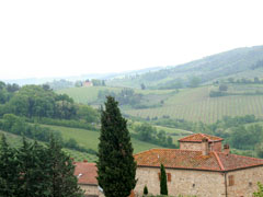 Tuscan scene